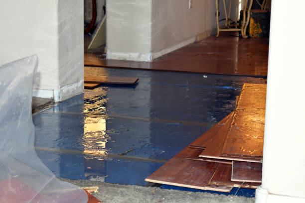 Professional Sewage Cleanup technician working in Leesburg, AL